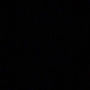 Meet your Posher, Precious